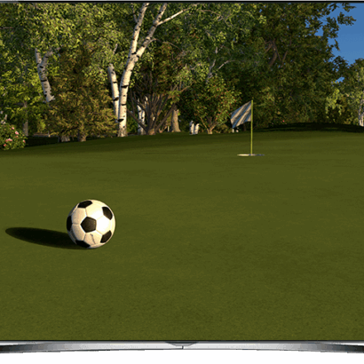 The Foresight FSX Simulation Software