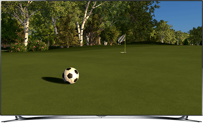 The Foresight FSX Simulation Software