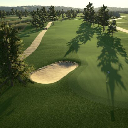 Scotch Pines