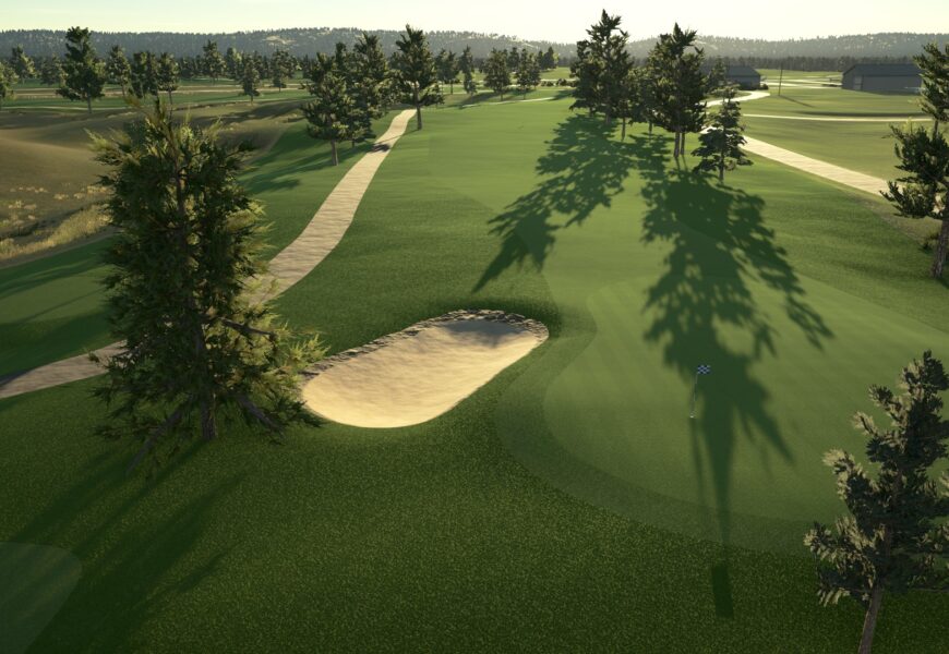 Scotch Pines
