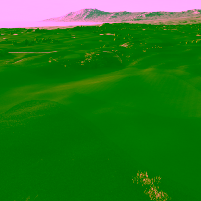 Pacific Dunes