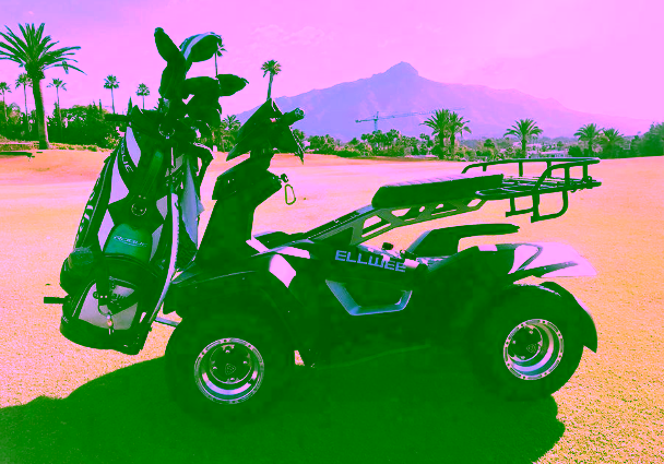 Ellwee Easy Electric Golf Cart 3