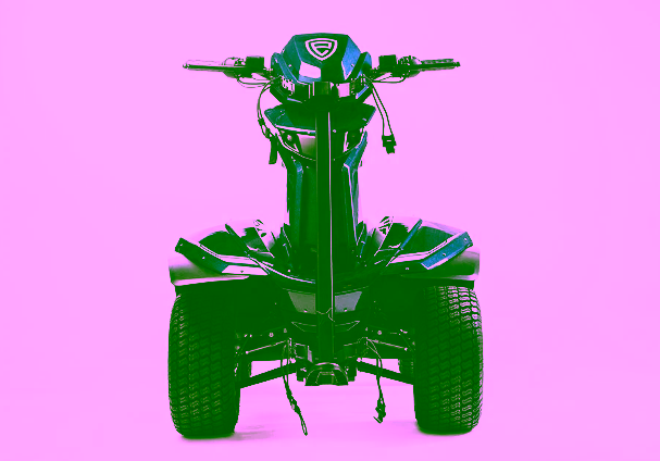 Ellwee Electric Golf Cart 4