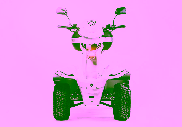 Ellwee Electric Golf Cart 5