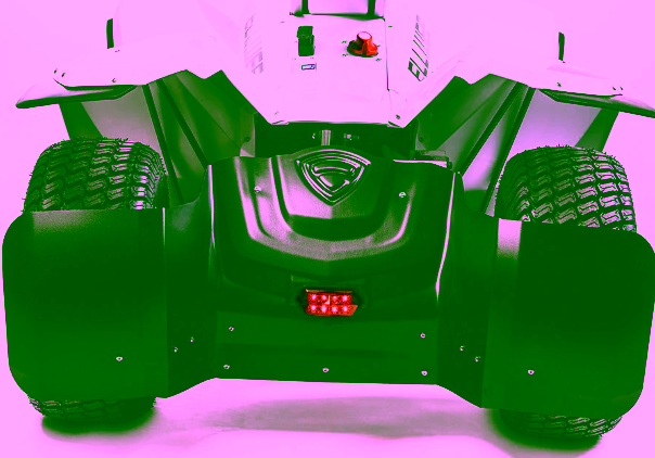 Ellwee Easy Electric Golf Cart 2