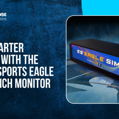 Ernest Sports Eagle Sim